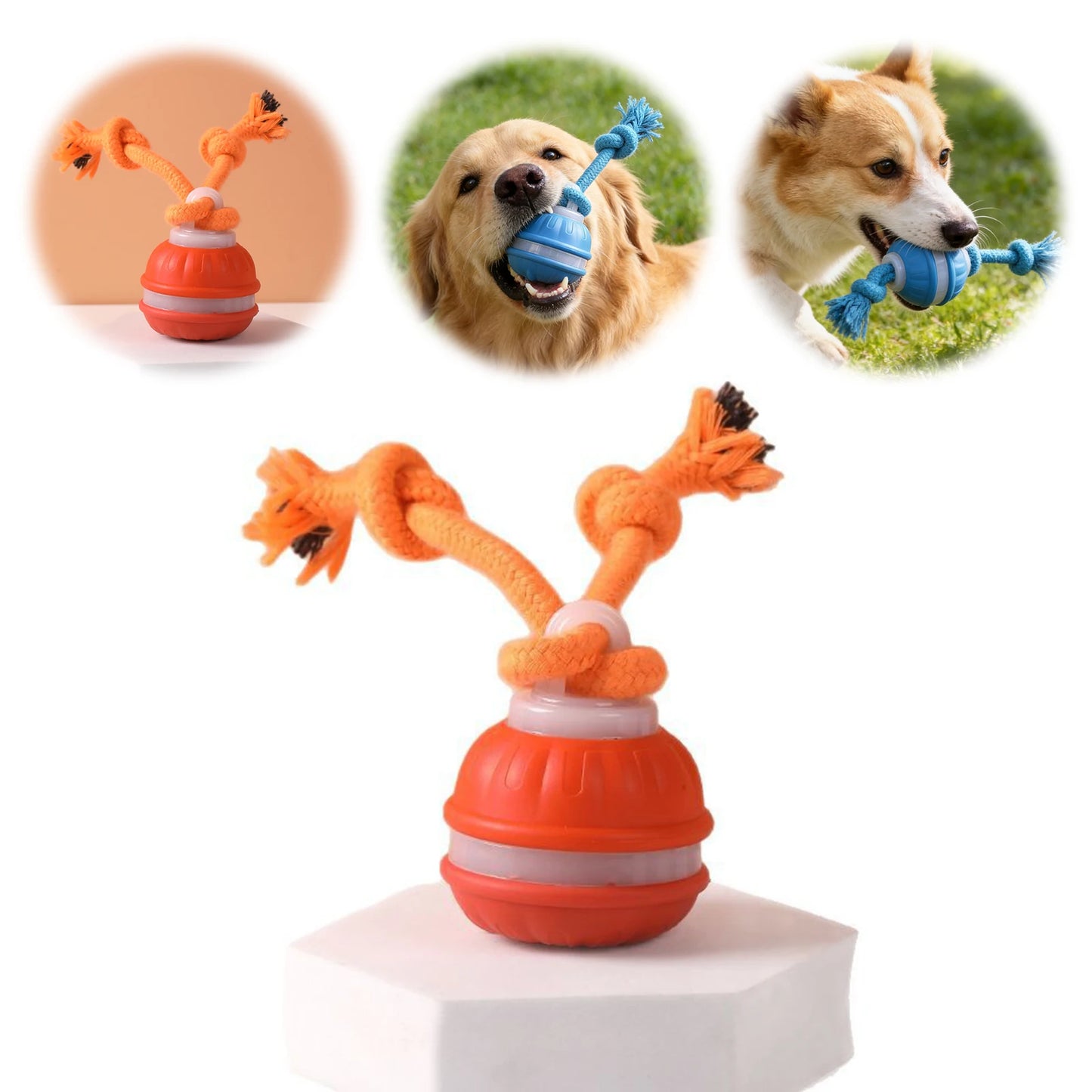 Smart Interactive Dog Ball
