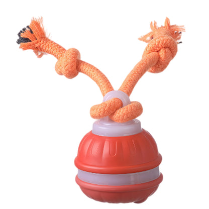 Smart Interactive Dog Ball