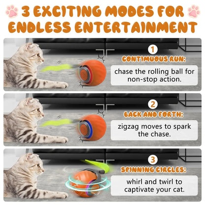 SpeedyTail Interactive Cat Ball