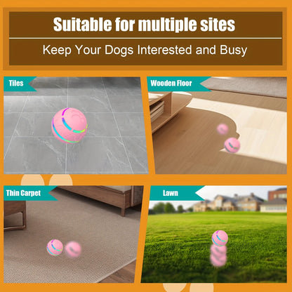 Interactive LED Dog Ball
