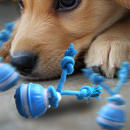 Smart Interactive Dog Ball