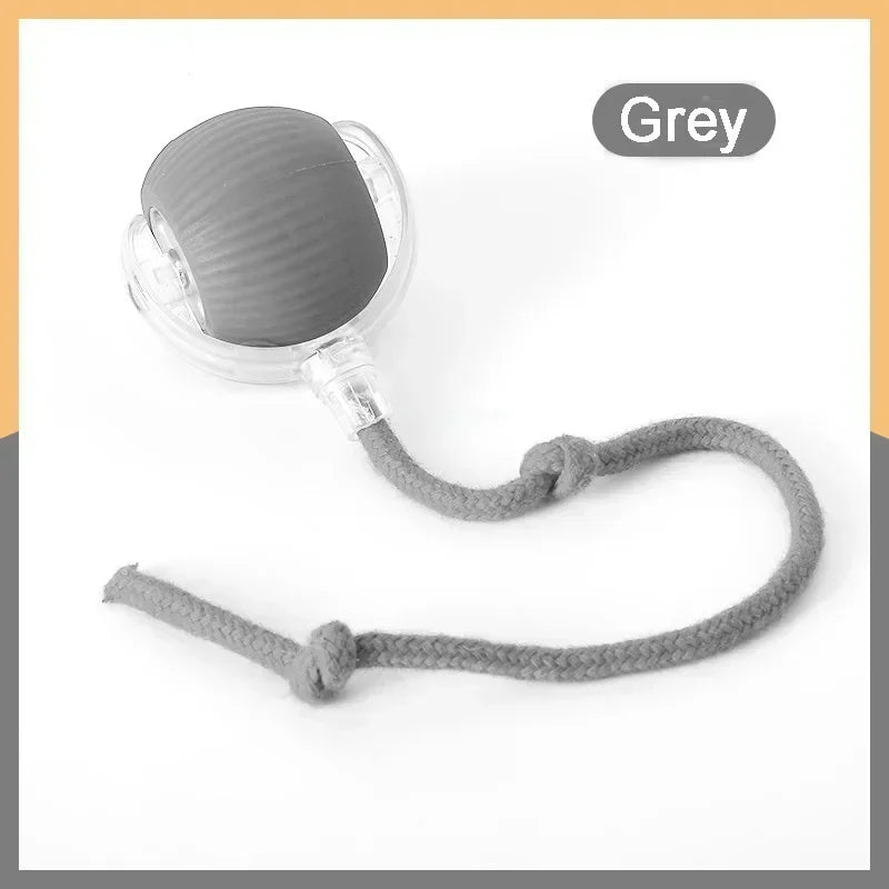 SpeedyTail Interactive Cat Ball