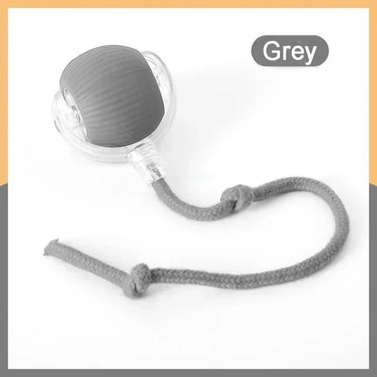 SpeedyTail Interactive Cat Ball