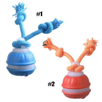 Smart Interactive Dog Ball