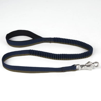Hands-Free Dual Handle Dog Leash