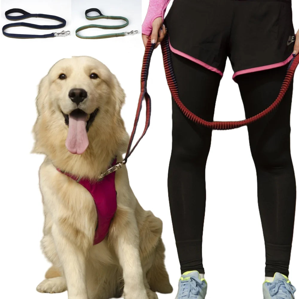 Hands-Free Dual Handle Dog Leash