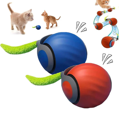 SpeedyTail Interactive Cat Ball