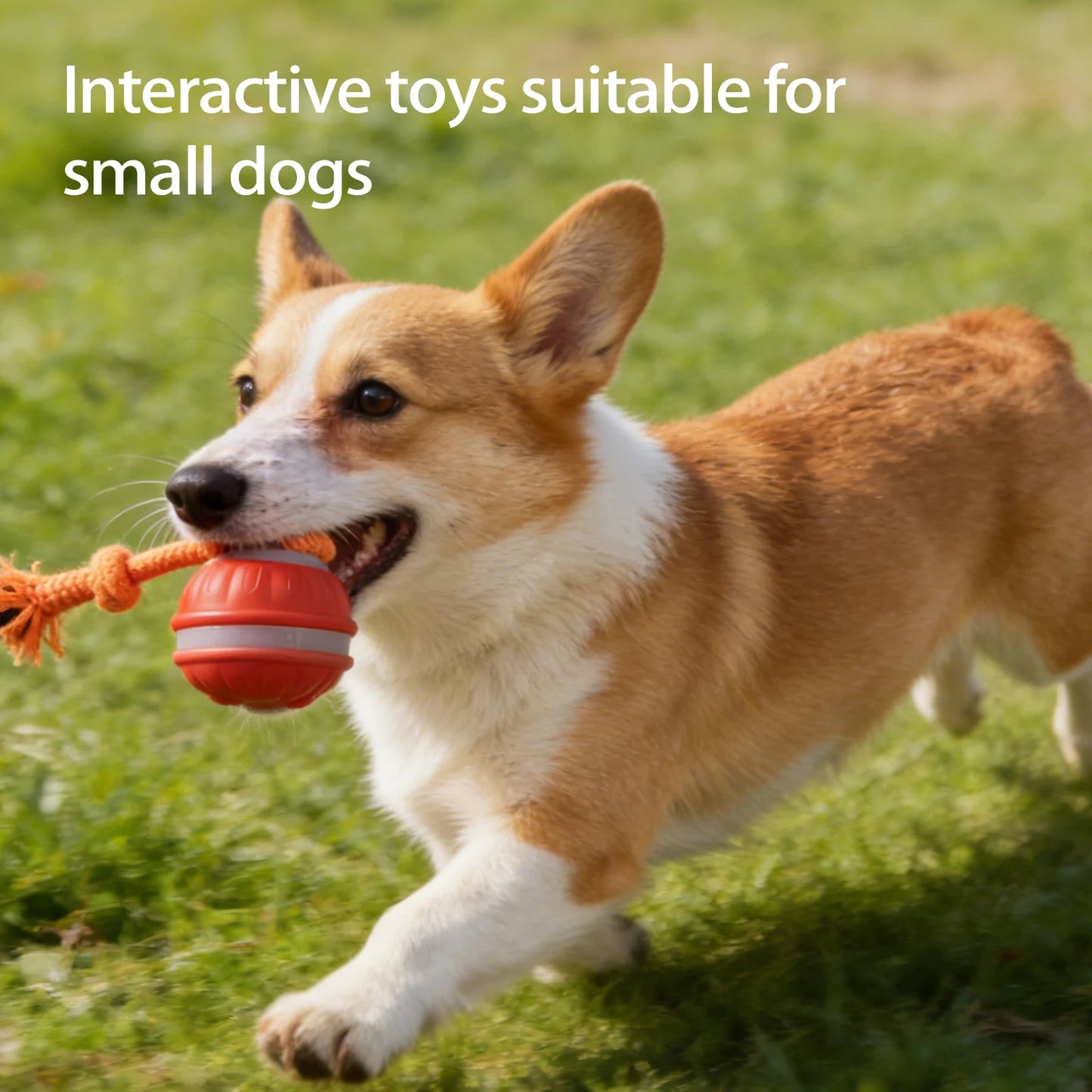 Smart Interactive Dog Ball