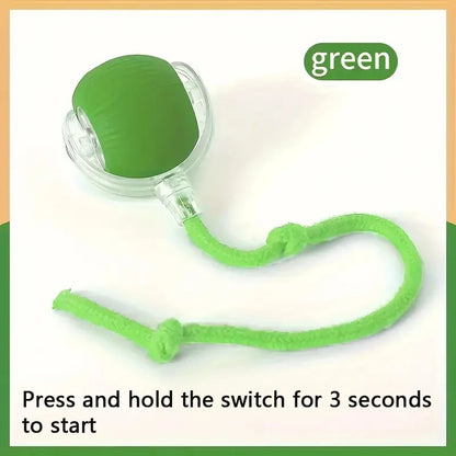 Smart Rolling Interactive Pet Ball