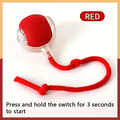 Smart Rolling Interactive Pet Ball