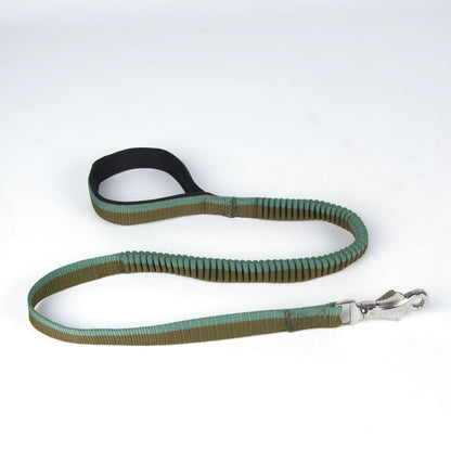 Hands-Free Dual Handle Dog Leash