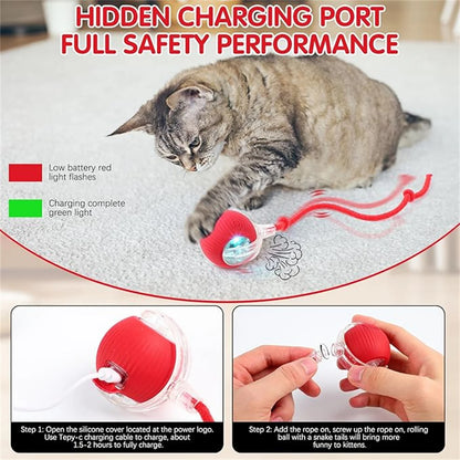 Smart Rolling Interactive Pet Ball