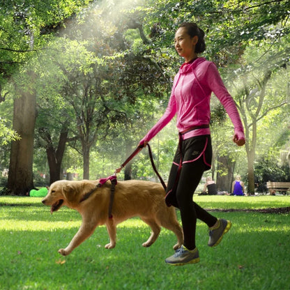Hands-Free Dual Handle Dog Leash