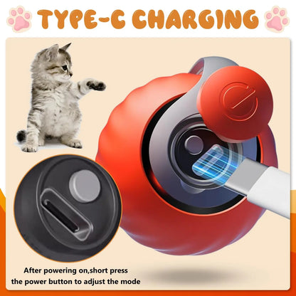 SpeedyTail Interactive Cat Ball