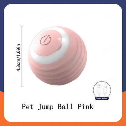 Smart Rolling Interactive Pet Ball