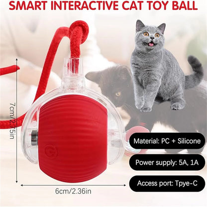 Smart Rolling Interactive Pet Ball