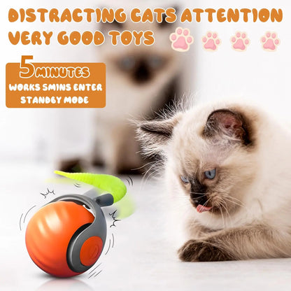 SpeedyTail Interactive Cat Ball