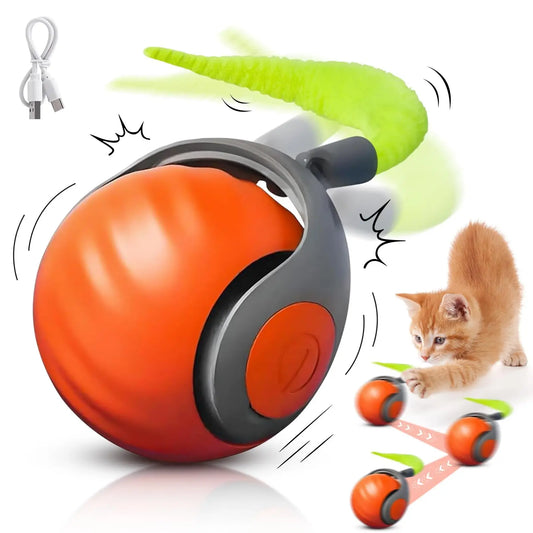SpeedyTail Interactive Cat Ball